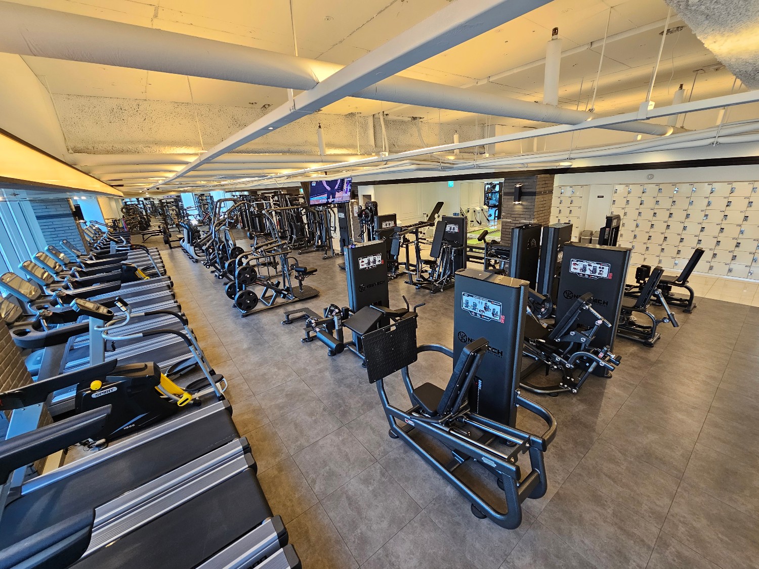 안양시헬스 가격비교 - 다짐(多Gym)