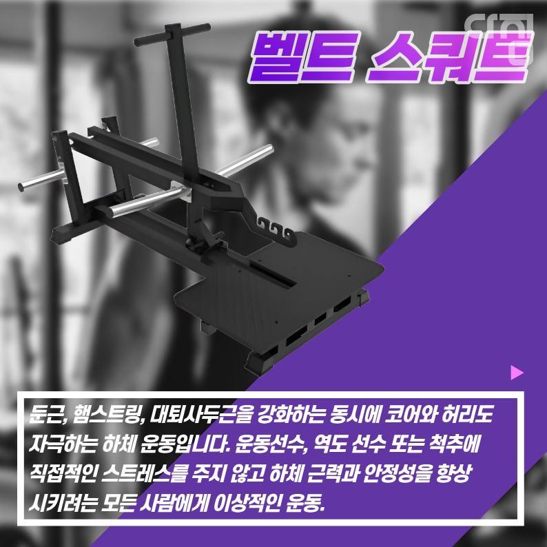 디테일 사진