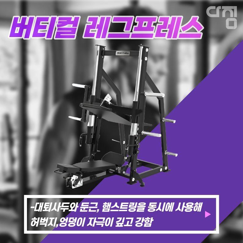 디테일 사진