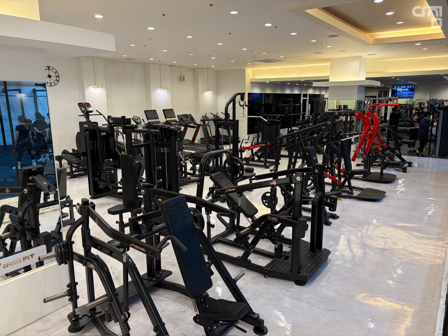 디테일 사진